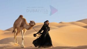 Desert Safari  dubai visit visa
