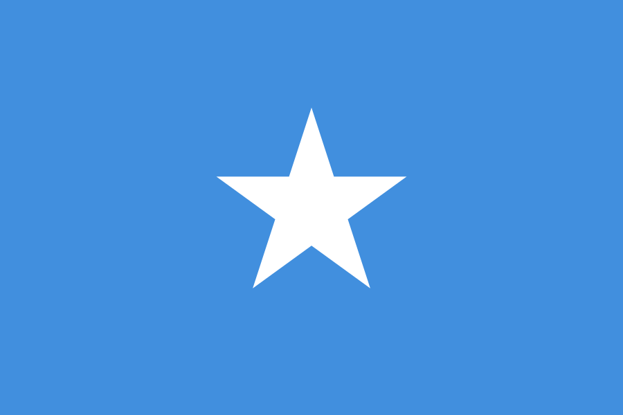 Flag of Somalia dubai visa