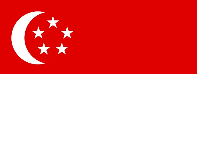 sg Con dubai visa